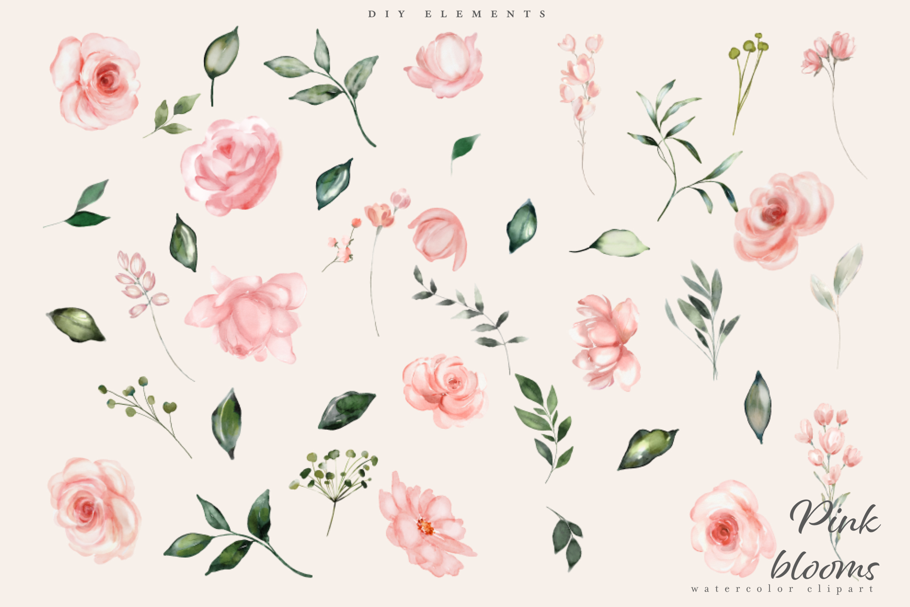 Watercolor Blush Pink Rose Clipart - photo 5
