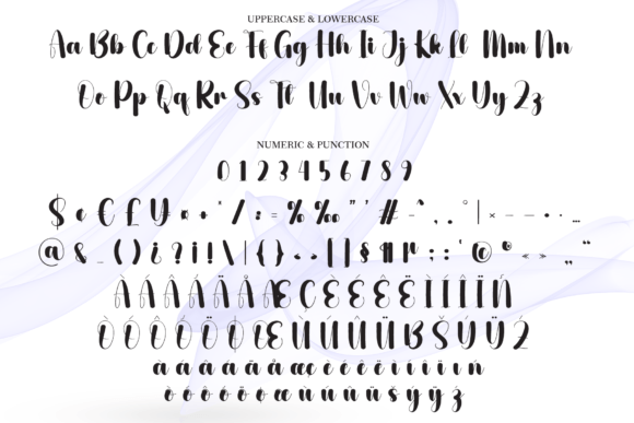 Elastic Font - Preview 6