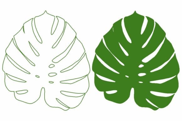 Monstera Leaf Svg Graphic by AP  Creative Fabrica