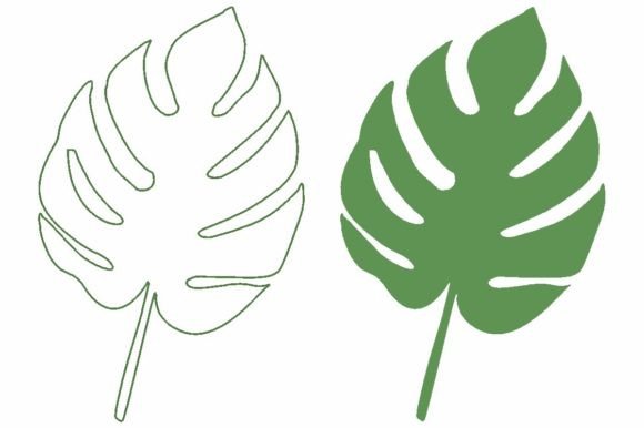 Monstera Leaf Svg Graphic by AP  Creative Fabrica