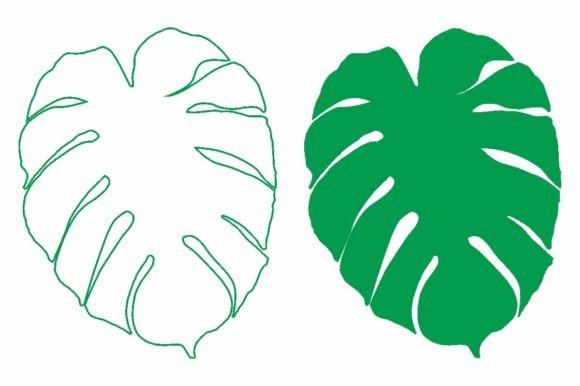 Monstera Leaf Svg Graphic by AP  Creative Fabrica