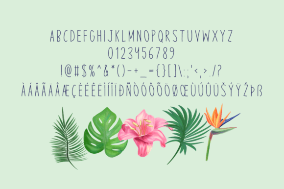 Seaside Charm Font PNG with transparent background - Preview 4