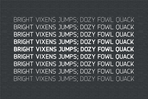 Alocasia Font - Preview 3