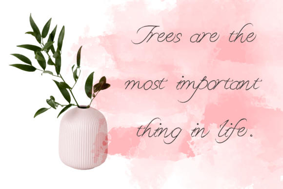 Graceful Font - Preview 5