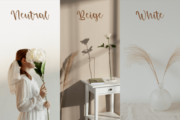Madhony Charlotte Font PNG with transparent background - Preview 5