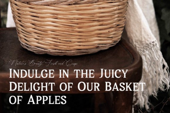 Melton Bronze Timeless Font PNG with transparent background - Preview 2