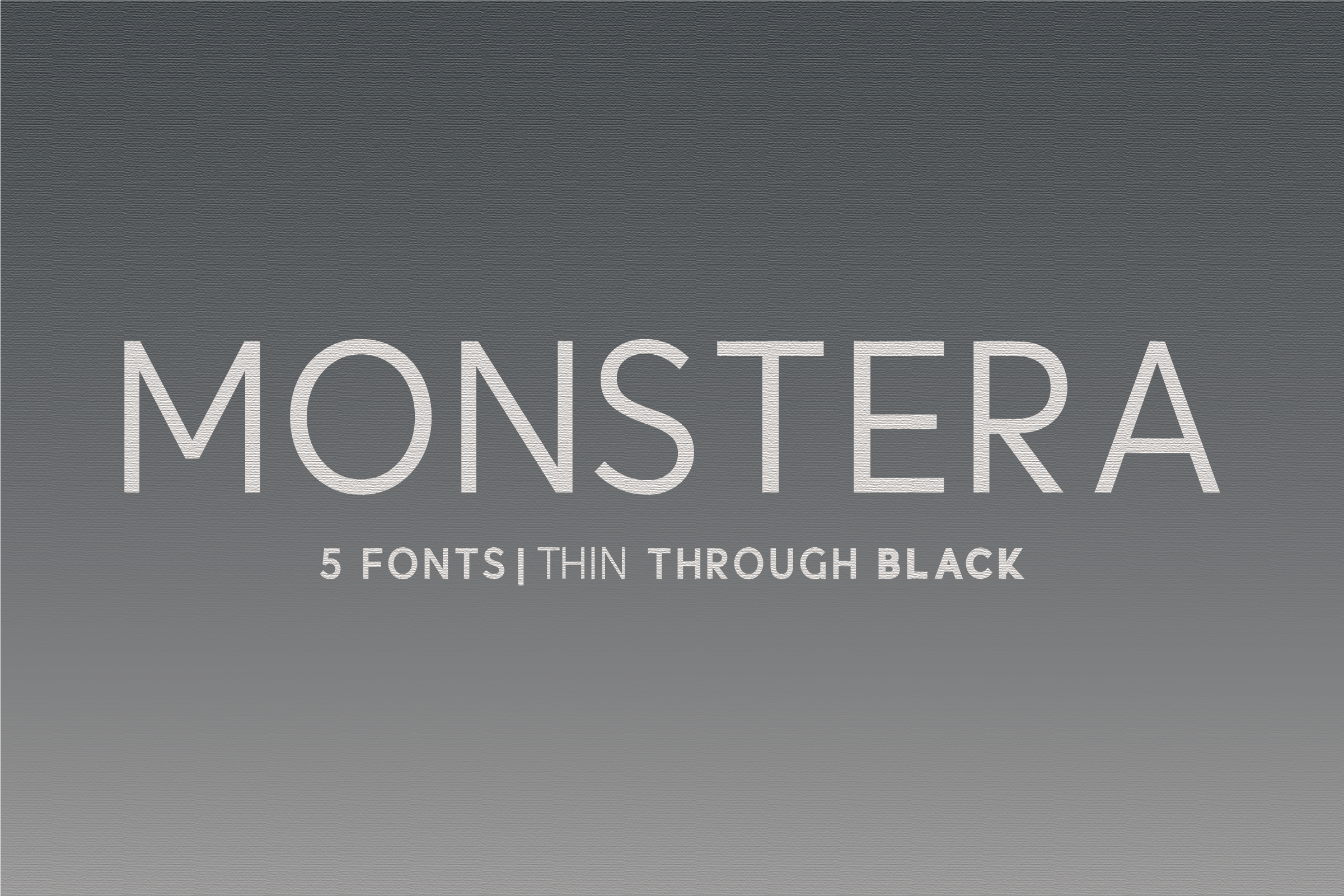 Monstera Font by Huntype  Creative Fabrica