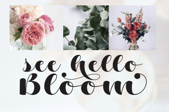 Pelisa Font PNG with transparent background - Preview 2