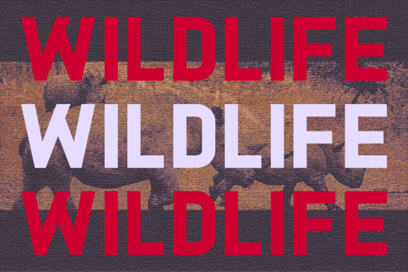 Redzone Font PNG with transparent background - Preview 5