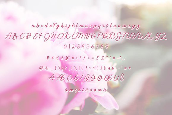 Anastasia Font - Preview 5