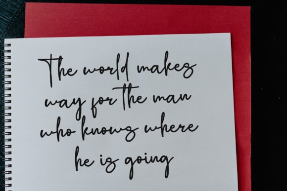 Bella Script Font - Preview 3