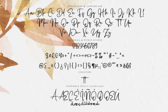 Bella Script Font - Preview 5