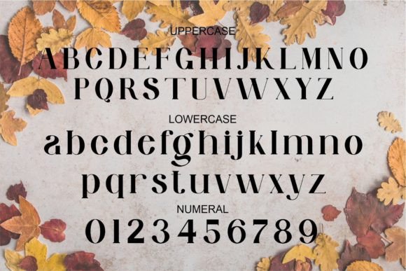 Dieng Font - Preview 6