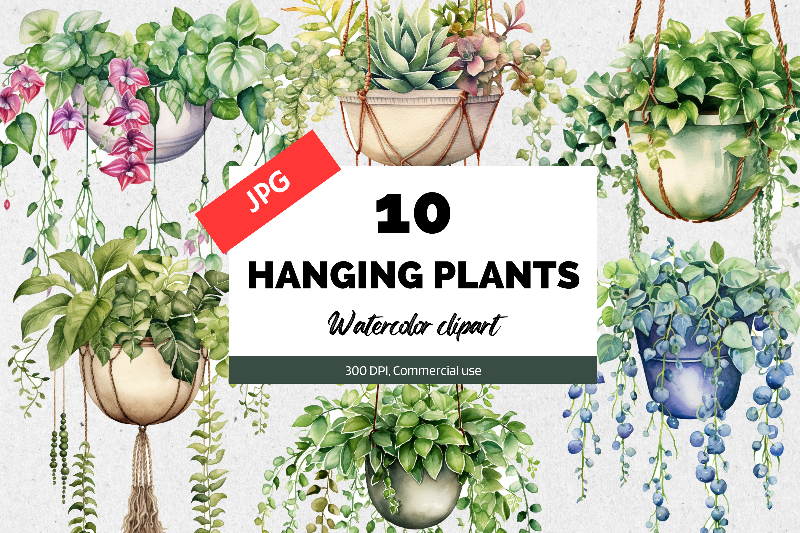 Watercolor Hanging Plant Clipart JPG Graphic by KiwiCakeStudio  Creative  Fabrica