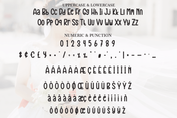 Beautiful Bride Font - Preview 6