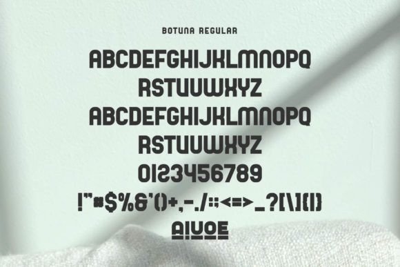 Botuna Font - Preview 4
