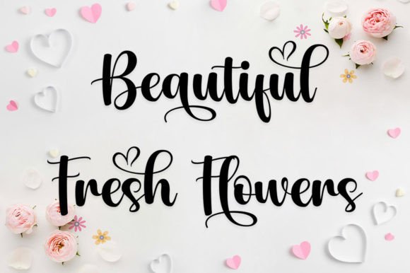 Boyka Font - Preview 3