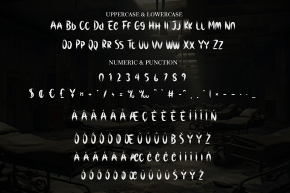 Former Mortuary Font - Preview 6