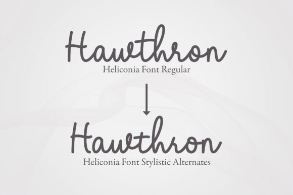Heliconia Font - Preview 1