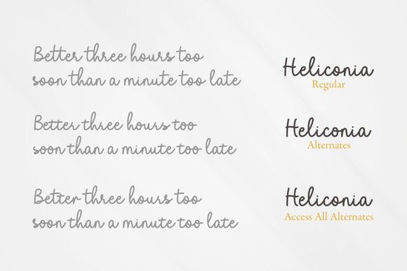 Heliconia Font - Preview 2