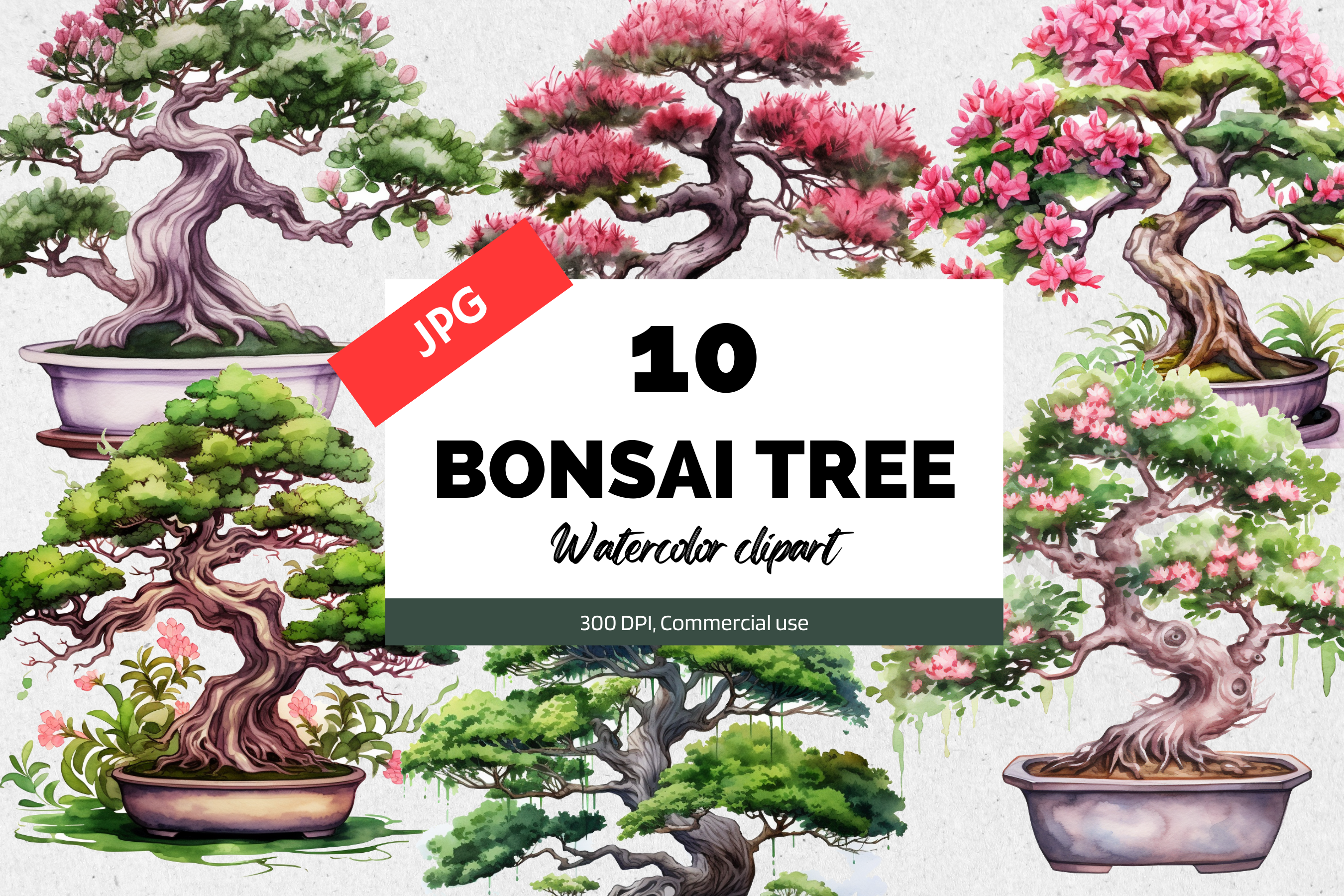 10 Watercolor Bonsai Tree Clipart JPG Graphic by KiwiCakeStudio  Creative  Fabrica