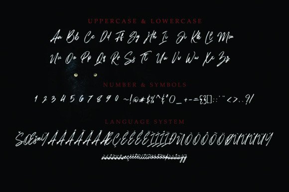 Brushfox Font - Preview 1