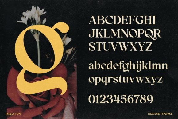Farela Font PNG with transparent background - Preview 3