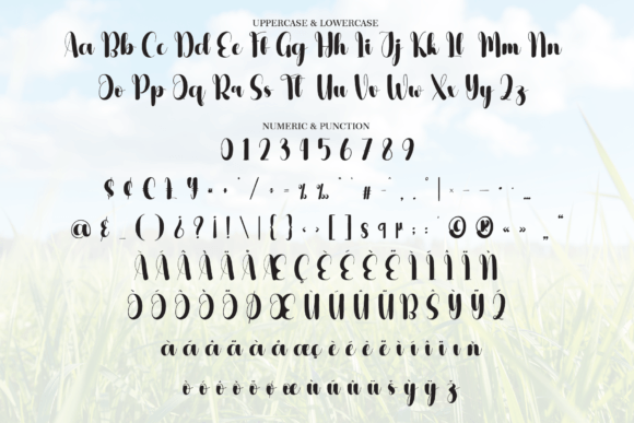 Grassland Font - Preview 6