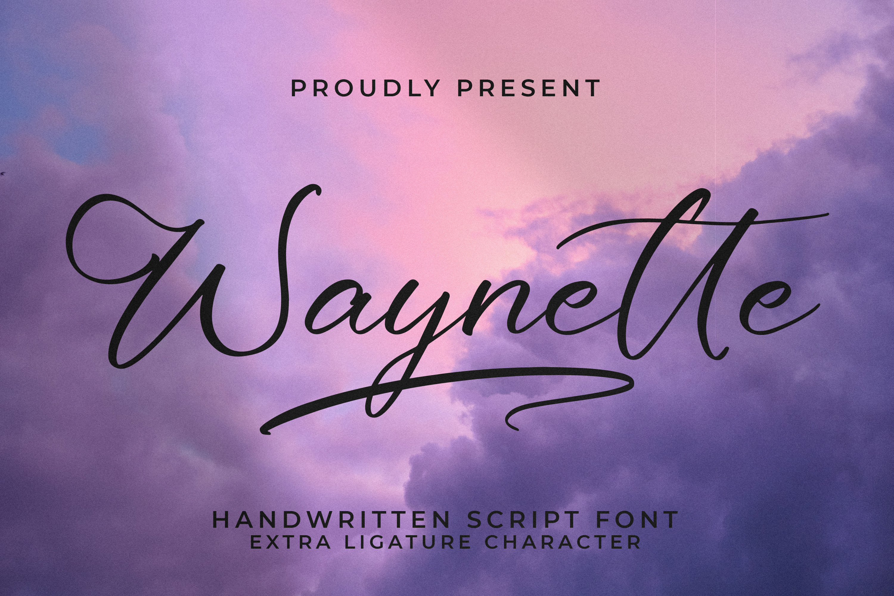 Waylon Rance Font Waynette Font by integritypestudio · Creative Fabrica