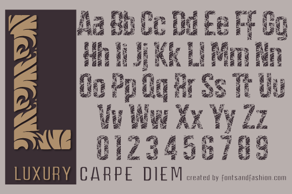 Carpe Diem Luxury Font - Preview 5