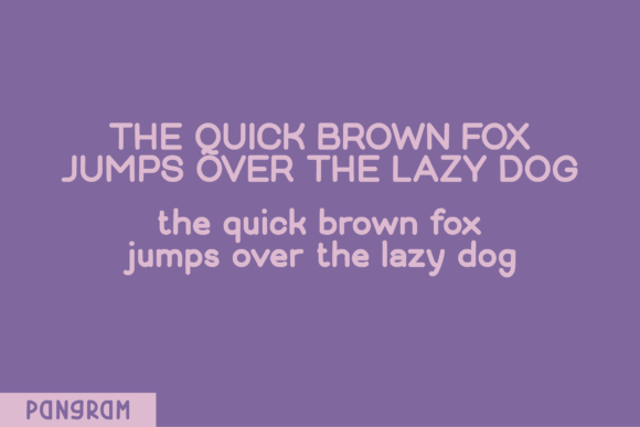 Flamingo Font - Preview 3