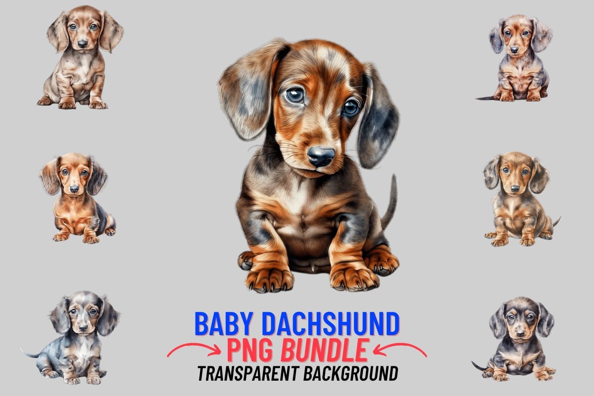 Watercolor Baby Dachshund 12 PNG Clipart