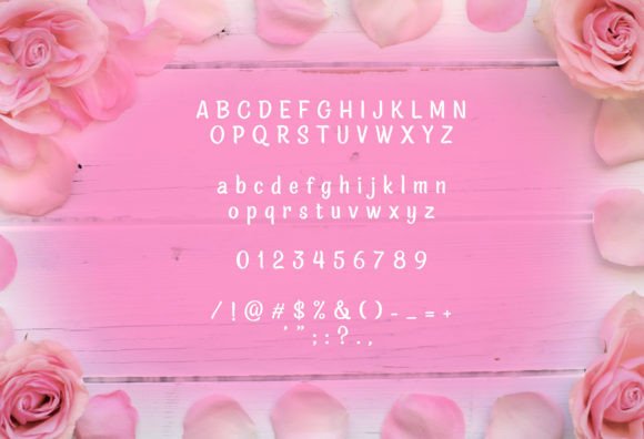 Alicea Font - Preview 4