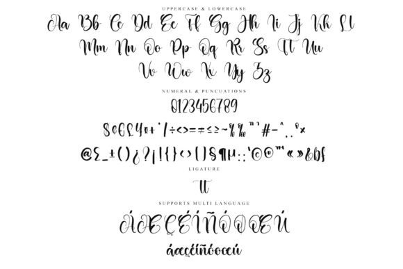 Anything Font - Preview 4