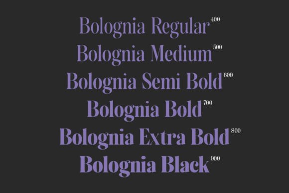 Bolognia Font - Preview 4