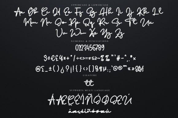 Hilma Signature Font PNG with transparent background - Preview 5