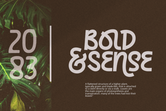 Kochay Font PNG with transparent background - Preview 6