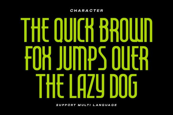 Seattle Highland Font font preview - 4