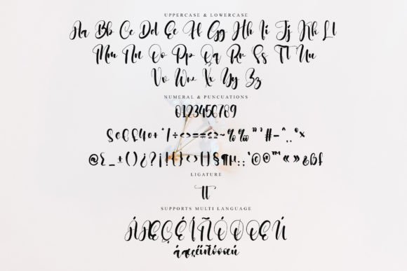 Selated Font PNG with transparent background - Preview 5