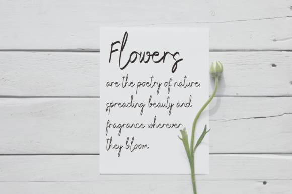 Kattolesi Font PNG with transparent background - Preview 2