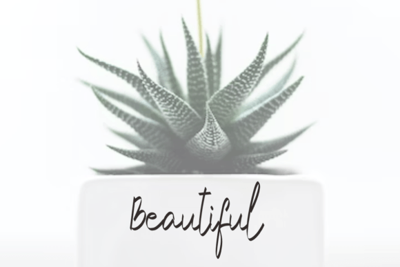 Kattolesi Font PNG with transparent background - Preview 4