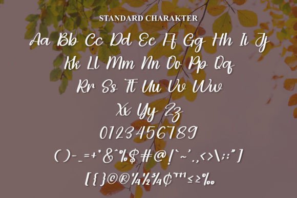 Autumn Font - Preview 5