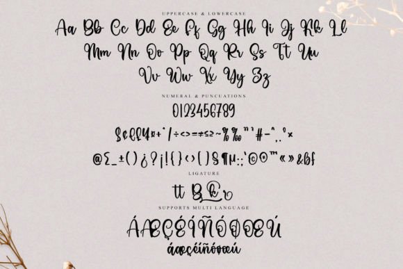 Bicker Font - Preview 5