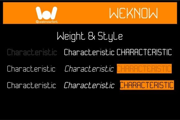 Characteristic Font - Preview 6