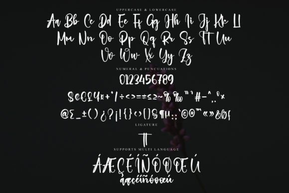 Employer Font - Preview 5