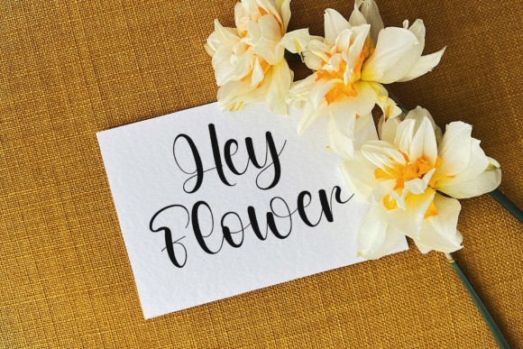 Further Font - Preview 1