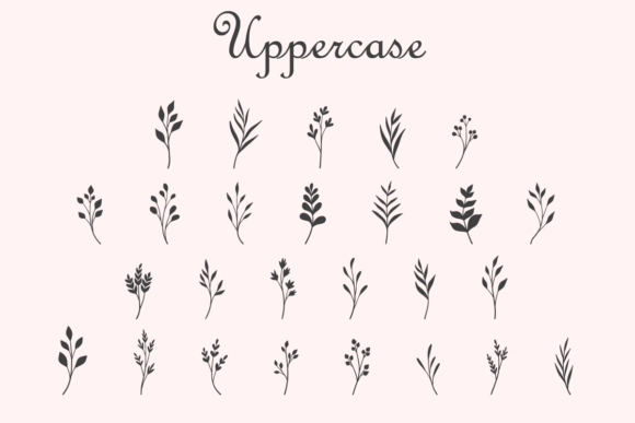 Gardenia Font - Preview 1