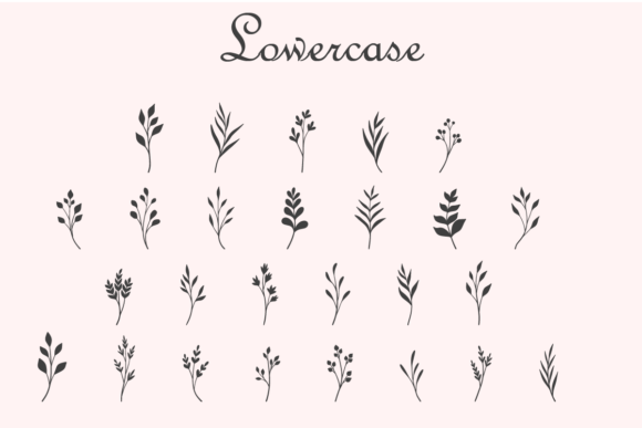 Gardenia Font - Preview 2