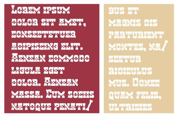 Hen Basket Homeland Font - Preview 3
