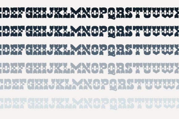Hen Basket Homeland Font - Preview 4